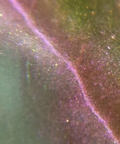 Beileshi 60x Zoom Microscope Magnifier LED + Uv Light Clip-on Micro Lens for Universal Mobile Phones Universal Clamp for iPhone 7s Plus/7s/7/7plus/ 6 6s 6Plus/ 5 Samsun/HTC 42 71kSOXhvQlL