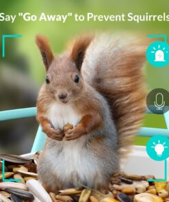 NETVUE Birdfy Lite - Smart Bird Feeder with Camera Solar Powered, Bird Watching Camera Wireless, Auto Capture Bird Videos & Motion Detection, Ideal Gift for Christmas Blue 35 71kTGUWBBbL