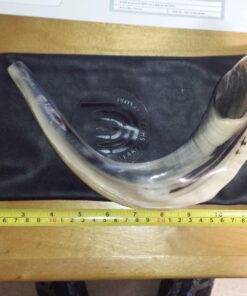 Judaica Mega Mall Kosher ODORLESS Polished Natural Rams Horn | Smooth Mouthpiece for Easy Includes Carrying Bag and Shofar Blowing Guide | Medium Size (12”-14”) (Jud-0651) 12"-14" 15 71kTbGBagZL