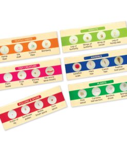 Learning Resources Prepared Slides Set 1, 24 Specimens 10 71kV2ux01dL