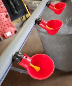 sansheng 24Pack Chicken Waterer Cups,Poultry Water Cups,Automatic Poultry Waterer for DIY Poultry Quail Duck Chicken Bird Drinker 24 44 71kVWxBYI9L