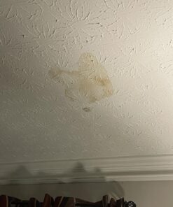 Zinnser 03688 Covers Up Stain Sealing Ceiling Paint, White 13 Ounce (Pack of 1) Spray Can 38 71kWjl5OUcL