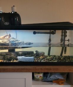 Penn-Plax Cascade All-in-One Aquarium Canister Filter – for Tanks Up to 100 Gallons (265 GPH) – Cascade 1000 Cascade-1000 74 71kXA5ozc L