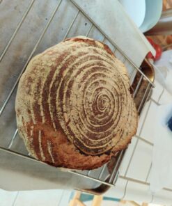 Happy Sales Round Proofing Basket Banneton Brotform 11 inch 9 71kZQD5PWPL