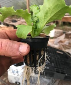 BN-LINK Short Period Repeat Cycle Intermittent Timer, Interval Timer - Day, Night, or 24 Hour Operation, Photocell Light Sensor Dusk to Dawn for Hydroponics Aquaponics Aeroponics 4.3 in * 2.3 in* 2.1 in 40 71ka3trezUL