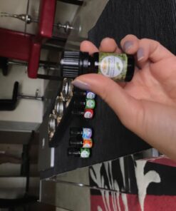 Artizen Top 14 Essential Oil Set for Diffuser, Aromatherapy and Candle Making - Fall Holiday Fragrance Scents with Lavender, Frankincense, Eucalyptus Oils and More Top 14 Aromatherapy Set 0.17 Fl Oz (Pack of 14) 43 71kaPZ95ZLL