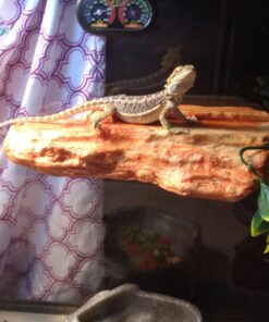 simplehuman Compact Round Bathroom Step Trash Can, 6 Liter / 1.6 Gallon, White Plastic 53 71kaf9kZPjL