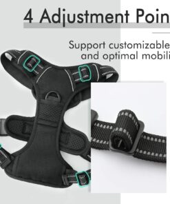 rabbitgoo Dog Harness, No-Pull Pet Harness with 2 Leash Clips, Adjustable Soft Padded Dog Vest, Reflective No-Choke Pet Oxford Vest with Easy Control Handle for Large Dogs, Black, XL X-Large 32 71kcIKFbT3L