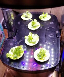 AeroGarden Mixed Romaine Lettuce Seed Pod Kit (6-pod) 6-pod 41 71kd7M11PCL
