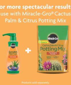 Miracle-Gro Succulent Plant Food, 8 Oz., For Succulents including Cacti, Jade, And Aloe, 1 Pack 41 71kdssenTL