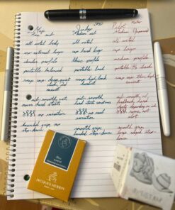 PILOT MR Animal Collection Fountain Pen in Gift Box, Matte White Barrel with White Tiger Accent, Fine Point Stainless Steel Nib, Refillable Black Ink (91141) 1 Count (Pack of 1) 23 71kf7B00GxL