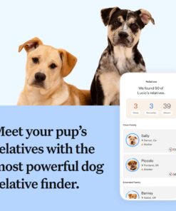 Wisdom Panel Breed Discovery Dog DNA Kit: Most Accurate Dog Breed Identification, Test for 365+ Breeds, MDR1 Health Test, Ancestry, Relatives 26 71kfzx2kPNL