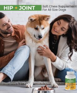 Advanced Hip & Joint Formula - 90 Mobility & Pain Relief Dog Chews - Glucosamine, Chondroitin, MSM, & Turmeric for Superior Joint Health Chewable 25 71kgp5vAKLL