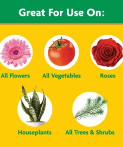 Miracle-Gro Water Soluble All Purpose Plant Food 5 lb. 1 Pack 36 71kjS L7mPL