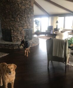 Felt Furniture Pads X-PROTECTOR 181 PCS Premium Furniture Pads - Felt Pads Furniture Feet Best Wood Floor Protectors - Protect Your Hardwood & Laminate Flooring! Brown 181 PCS Brown 36 71kl1 nK7dL 1