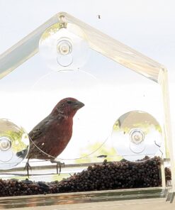 Nature Gear Window Bird Feeder - Refillable Sliding Tray - Weather Proof - Snow and Squirrel Resistant - Drains Rain Water - See Songbirds from Home! (House Style) (House Model) House 45 71knhT9k4L
