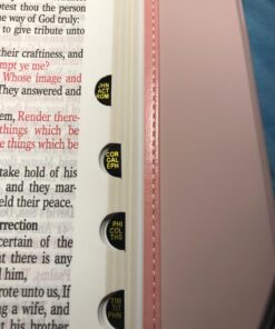 KJV Holy Bible, Giant Print Full-size Faux Leather Red Letter Edition - Thumb Index & Ribbon Marker, King James Version, Pink Leather Bound 66 71koQRTs72L