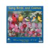 SUNSOUT INC - Songbirds and Cosmos - 500 pc Jigsaw Puzzle by Artist: William Vanderdasson - Finished Size 18" x 24" - MPN# 30448 11 71kp9icgiGL