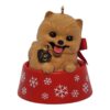Hallmark Keepsake Ornament Puppy Love Pomeranian 2016 5 71kpSB6 y3L