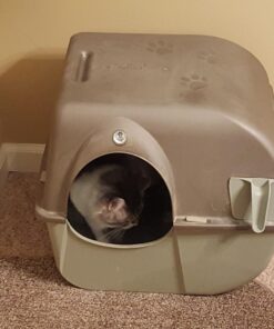 Omega Paw Self-Cleaning Litter Box, Pewter 53 71krSYXcz5L