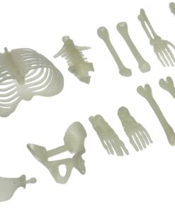 U.S. Toy USTMU75 16 Piece Glow in The Dark Skeleton Box of Bones Action Figure 1