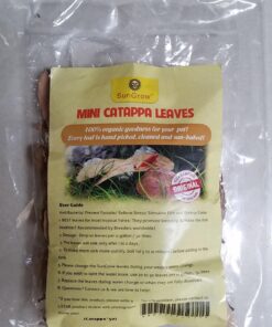 SunGrow 50 pcs Catappa Indian Almond Leaves for Betta Fish Tank Aquarium, 2” Water Conditioner Leaves, Leaf Also Suitable for Shrimp, Goldfish, Guppy and Frogs 50 Leaves 66 71kstc02VL