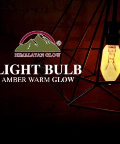 Salt Lamp Light Bulbs, Himalayan Salt Lamp Replacement Bulbs 15 Watt Incandescent Light Bulbs -12 Pack 11 71kusBsVA3L