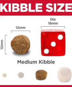 Hill's Science Diet Dry Dog Food, Adult 7+ for Senior Dogs, Chicken Meal, Barley & Rice Recipe, 33 lb. Bag 33 Pound (Pack of 1) 18 71kvKl1SnTL 2