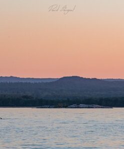 Nikon D500 DX-Format Digital SLR (Body Only), Base 63 71kvn0w2ybL