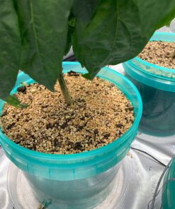 SUMMIT CHEMICAL CO 117-6 30OZ Mosquito Bits 31 71kxL8 wsdL