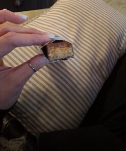 Pure Protein Bars, High Protein, Nutritious Snacks to Support Energy, Low Sugar, Gluten Free, Chocolate Peanut Caramel, 1.76oz, 12 Pack (Packaging May Vary) 26 71l 66Qvp9L