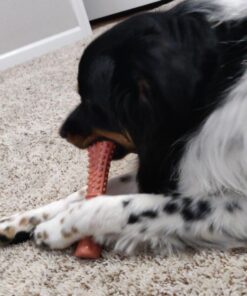 Nylabone Power Chew Dog Toy - Dog Toys for Aggressive Chewers - Indestructible Dog Toys for Aggressive Chewers Large Breed - For Extra Large Dogs - Bacon Flavor X-Large/Souper (1 Count) X-Large/Souper - 50+ lbs. 45 71l0vW1gmL