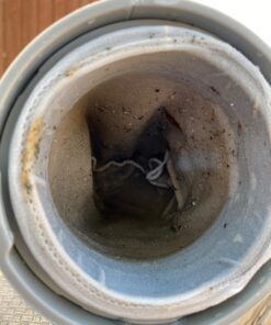 Intex Handheld Rechargeable Vacuum with Telescoping Aluminum Shaft and Two Interchangeable Brush Heads , Gray/Black 47 71l0veXH3YL