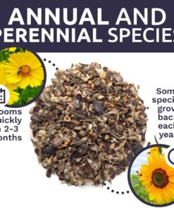 Bee Friendly Wildflower Seed Mix - Bulk 1 Ounce Packet - Over 7,500 Open Pollinated Seeds - Save The Bees! 1 Ounce Pouch 35 71l1tOIajuL