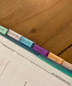 Amazon Basics Two Pocket Plastic Dividers, 8 Tab Set, 24 Count (Pack of 3), Letter Size, Assorted Color 36 71l3BeBOhEL