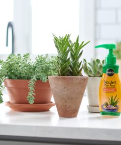 Miracle-Gro Succulent Plant Food, 8 Oz., For Succulents including Cacti, Jade, And Aloe, 1 Pack 35 71l3OA9H cL