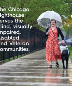 THE CHICAGO LIGHTHOUSE Electric Clock with White Dial, 14-1/2-Inch, Black Frame (67801103) 11 71l3aAHNHJL