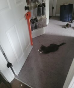 MOODY PET Fling-AMA-String Cat Toy Basic 13 71l4vdD8uxL