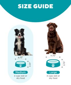 Outward Hound Fun Feeder Slo Bowl, Slow Feeder Dog Bowl, Medium/Mini, Turquoise 21 71l60R4NMRL 1