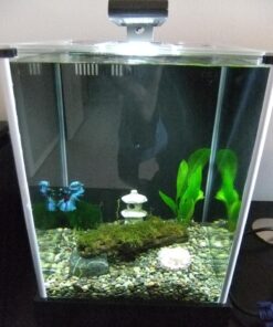 Fluval SPEC Freshwater Aquarium Kit, Aquarium with LED Lighting and 3-Stage Filtration, 2.6 Gallon, Black, Large Breeds 2.6 Gal. 60 71l7 lo8SYL