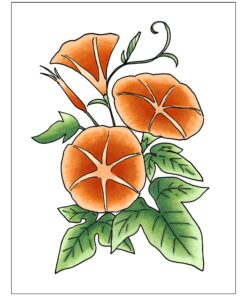 Copic Sketch, Alcohol-based Markers, 3pc Set, Color Fusion #4 Orange 8 71l74QNJVML