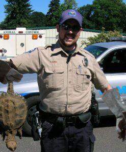 Alternative view of RAPICCA Animal Handling Gloves Bite Proof Double Leather Reinforced Padding Dog,Cat Scratch,Bird Handling Falcon Gloves Grabbing Reptile Squirrel Snake Bite 16in Grey-Black 2 Count (Pack of 1) 16 Inches