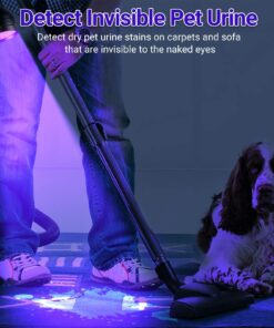 UV Flashlight Black Light, LOFTEK 51 LED 395 nm Blacklight Flashlite Pet Urine Detector for Dog Urine, Dry Stains, Bed Bug, Scorpion, Matching with Pet Odor Eliminator 24 71l7IP4fvBL