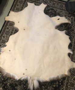 Knoblochs Deer Hunter's & Trapper's Hide & Fur Tanning Formula Multi Pack 1 25 71l7NZrggpL