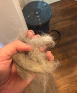 Catit Senses 2.0 Self Grooming Cat Brush and Interactive Cat Toy 30 71l7eSumlDL