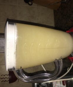 Mann Lake FD203 Bee-Pro Pollen Substitute Canister, 1-Pound 18 71l7swilKhL