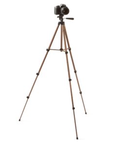 Amazon Basics 50-inch Lightweight Camera Mount Tripod Stand With Bag 50-Inch Tripod 1-Pack 31 71lAN5pXKwL