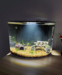 Tetra Crescent aquarium Kit 5 Gallons, Curved-Front Tank With LEDs,black 5-Gallon 25 71lBnTQ6LIL