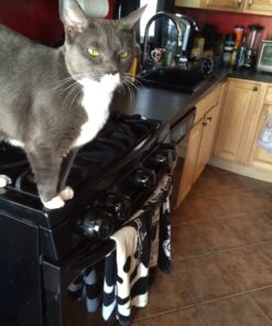 Safety 1st Stove Knob Covers, 5 Count 34 71lFXewYMBL