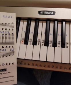 QMG Piano Stickers for 49/61/ 76/88 Key Keyboards – Transparent and Removable; Made in USA Sticker 30 71lFky8upL